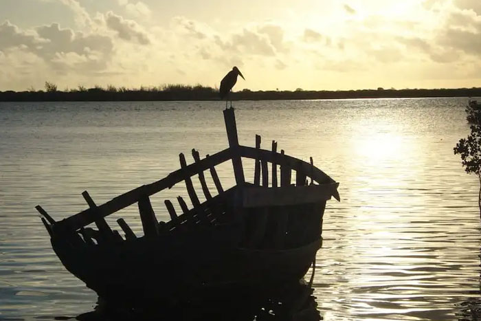 bord-de-mer-lamu-kenya