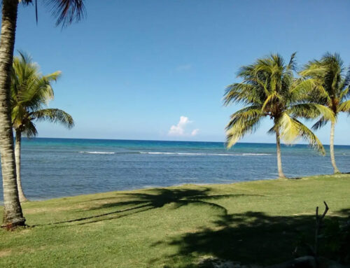 Voyager en Jamaïque : tout savoir sur ce pays ou il faut rester vigilant