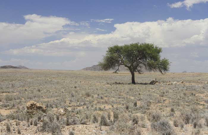desert-namibie
