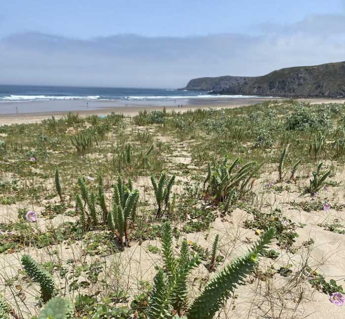 plage-xago-gozon