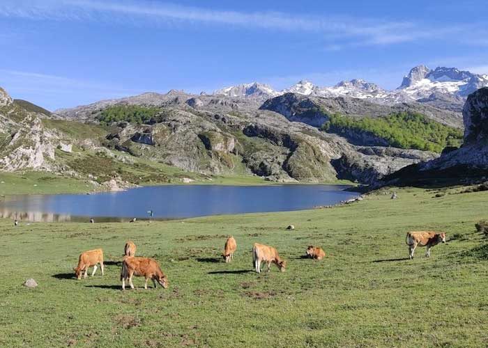 visite-lac-ercina