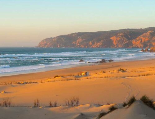 Que faire à Cascais pendant une journée, visite sur la côte de Lisbonne