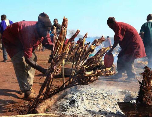 Pourquoi visiter la Tanzanie ?