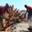 pourquoi-visiter-tanzanie