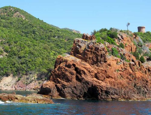Visite de la réserve de Scandola en bateau ou à pied, un bijou en Corse