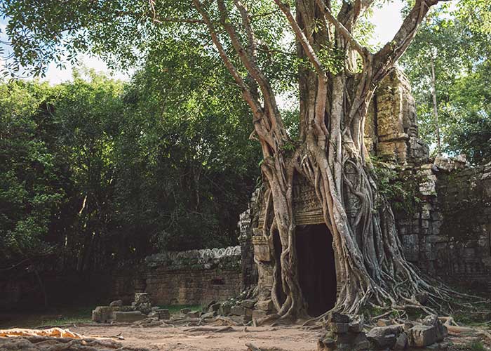 paysage-naturel-cambodge