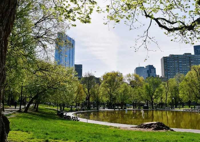 boston-public-garden