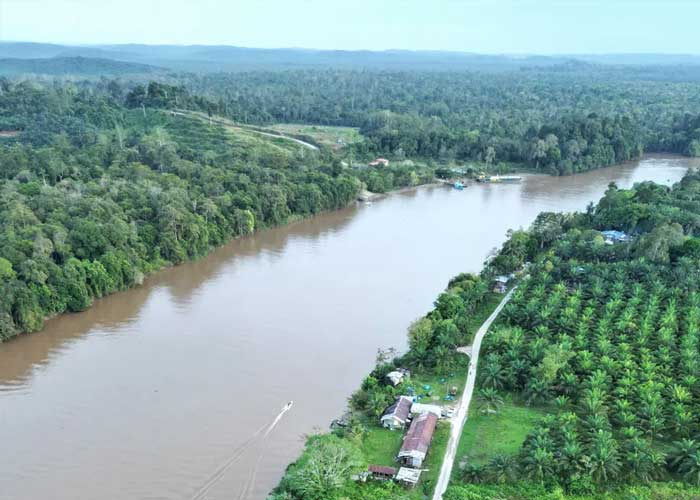 fleuve-kinabatangan-borneo-malaisie