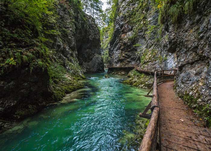 gorge-de-vintgar-slovenie