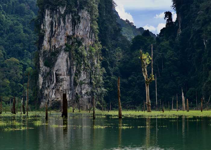 lac-parc-national-khao-sok-thailande
