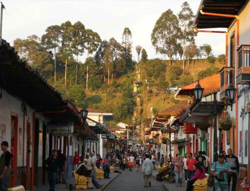 15 choses à voir et à faire à Salento (Colombie)