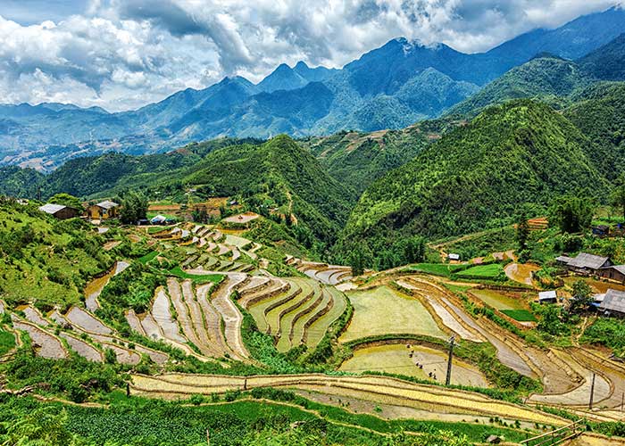 riziere-sapa-vietnam