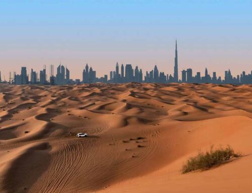 Nos conseils pour un safari dans le désert de Dubaï