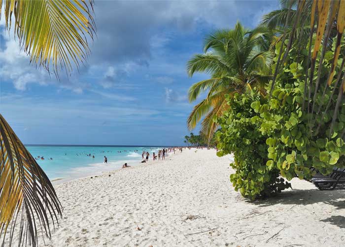 plage-carte-postale-ile-saona