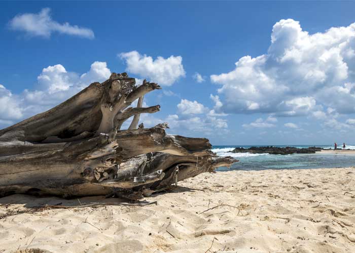 plage-vierge-caraibes