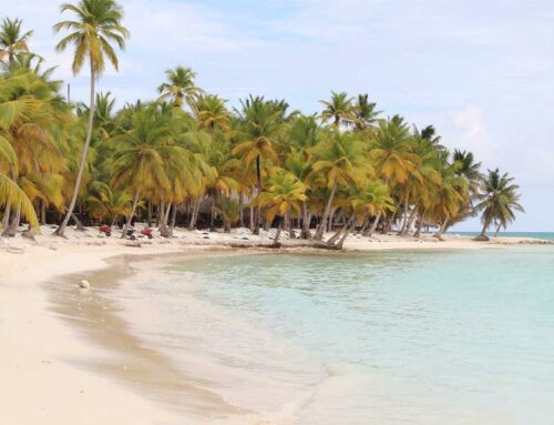 Visiter l’île de Saona en République Dominicaine, que faire et voir ?
