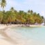 visiter-ile-saona-republique-dominicaine-les-choses-a-voir-et-a-faire