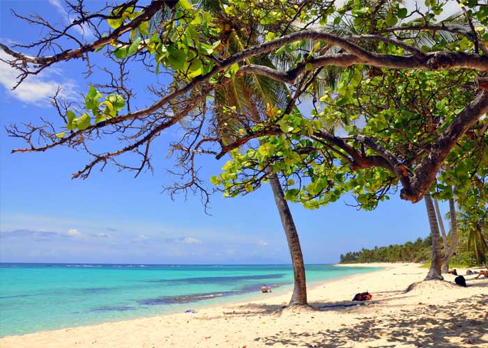 anse-de-la-perle-guadeloupe