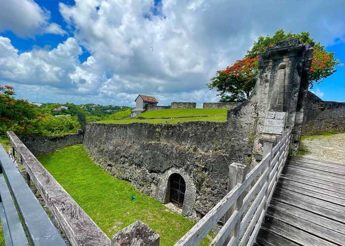 fort-fleur-epee-guadeloupe