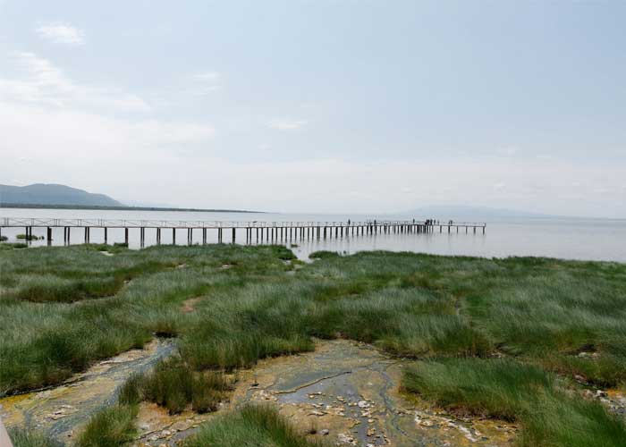 lac-manyara-tanzanie