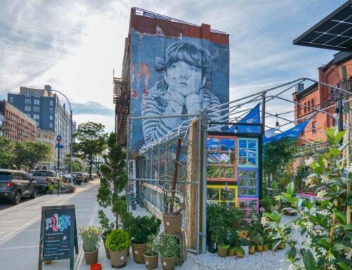 Découverte de Williamsburg, le quartier juif orthodoxe de New York