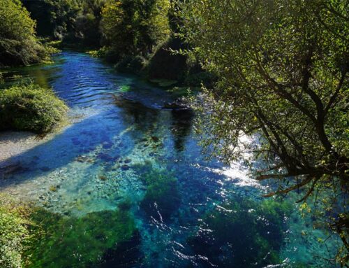 Comment visiter l’Œil Bleu (Albanie) : guide et recommandations