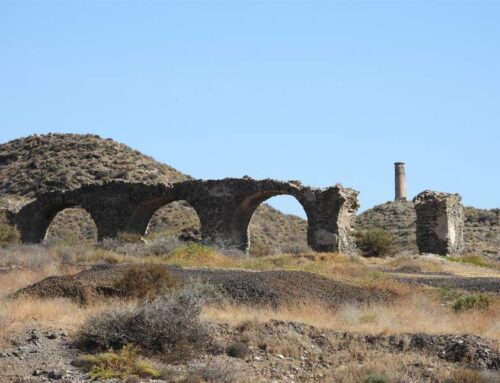 Voyage archéologique : sur les traces de nos ancêtres de la France à l’Espagne