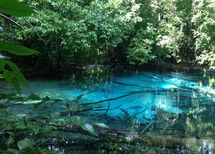 emerald-pool-krabi
