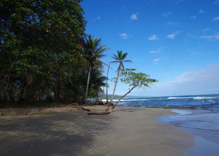 playa-cocles-puerto-viejo-costa-rica