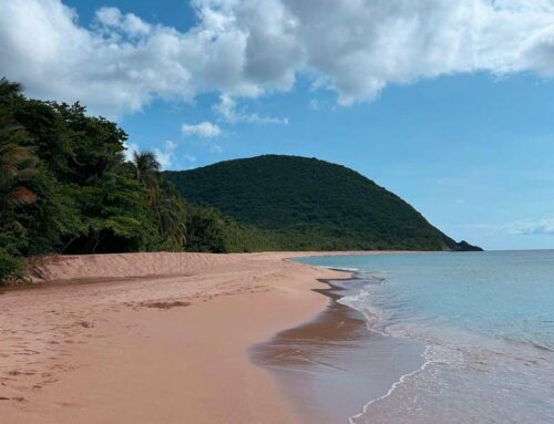 Ou voir les plages de Sable rose en Guadeloupe ?