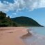 guadeloupe-plage-sable-rose
