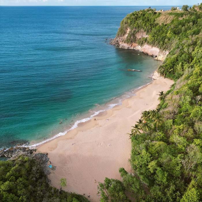 plage-anse-tillet-guadeloupe