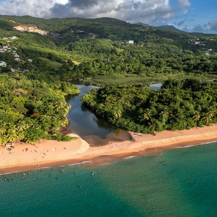 plage-sable-rose-grande-anse-deshaies