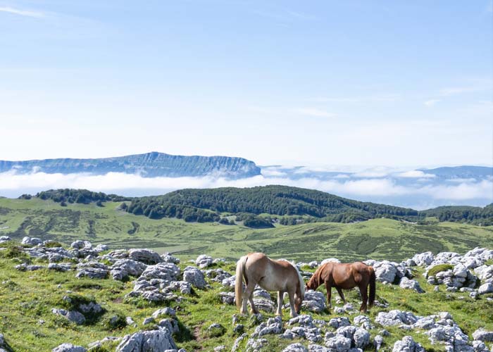 sierra-de-aralar-montagne-navarre