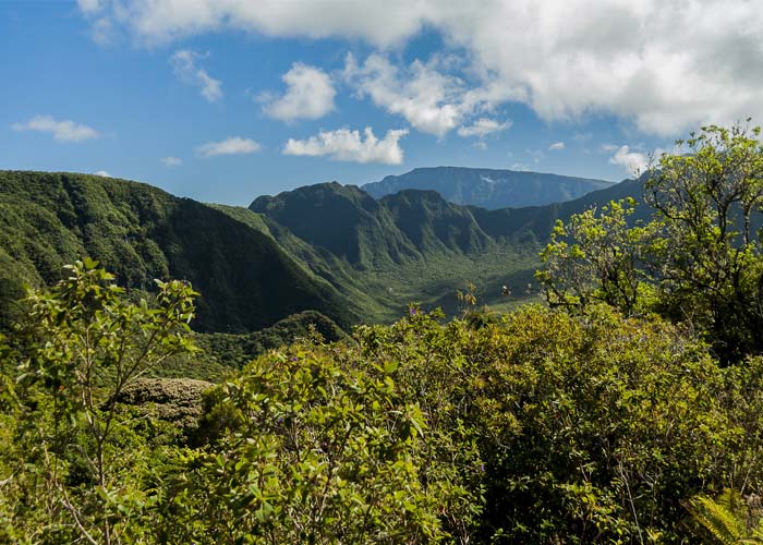 climat-la-reunion-aout