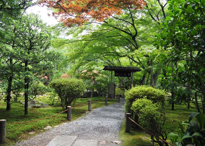 jardins-ryoan-ji-japon
