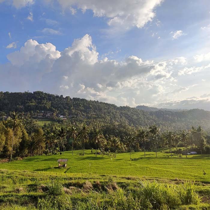 admirer-rizieres-munduk