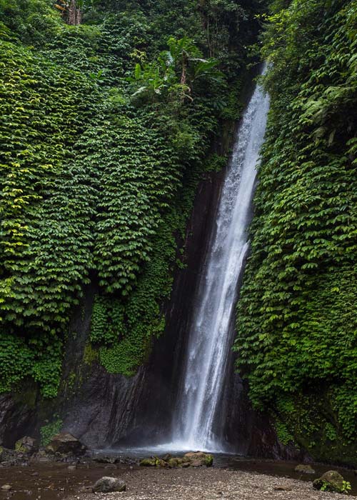 cascade-red-coral-munduk