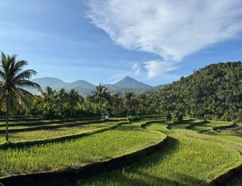 Que voir à Munduk et dans les environs : 10 activités incontournables