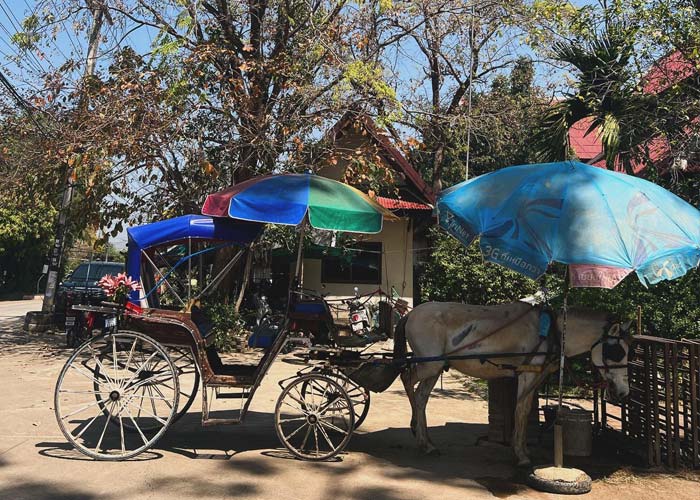 visite-caleche-wiang-kum-kam