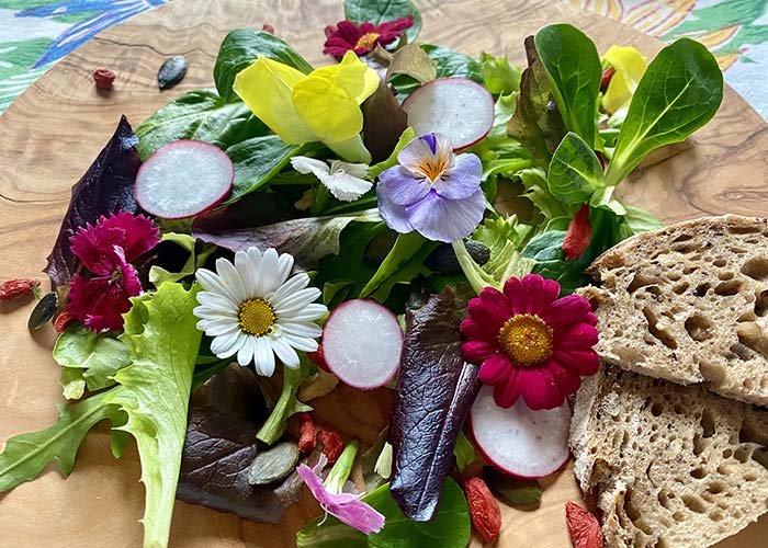 fleurs-comestibles-assiette
