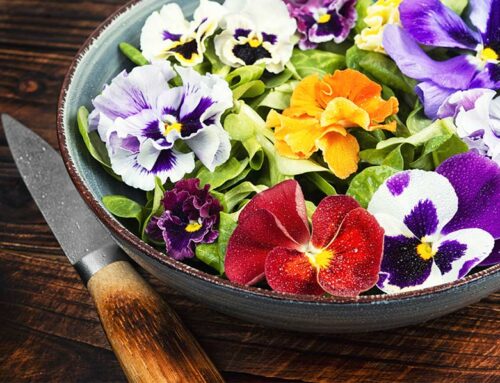 Fleurs comestibles dans les cuisines du monde : un tour gastronomique