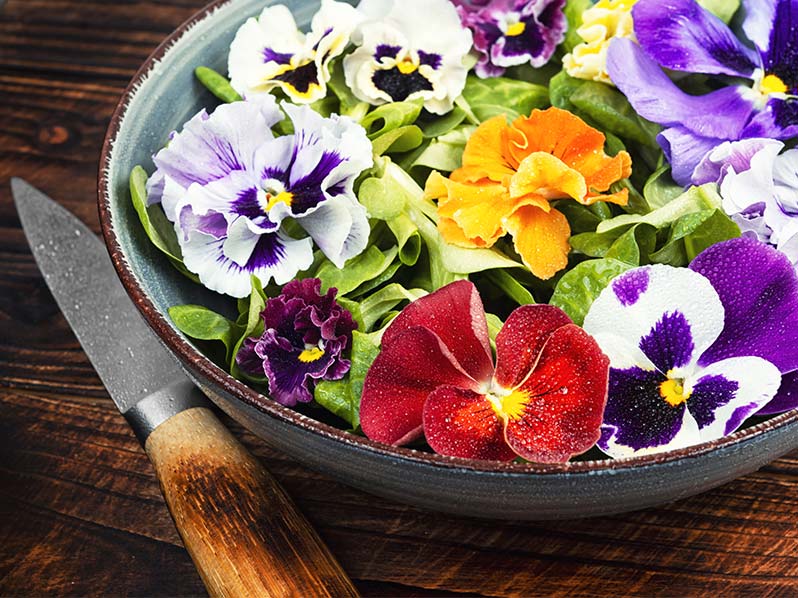 fleurs-comestibles-cuisines-monde-tour-gastronomique