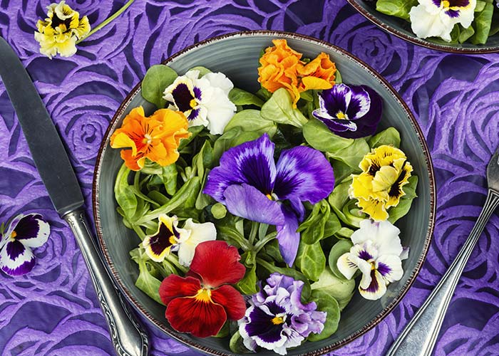 fleurs-comestibles-europe