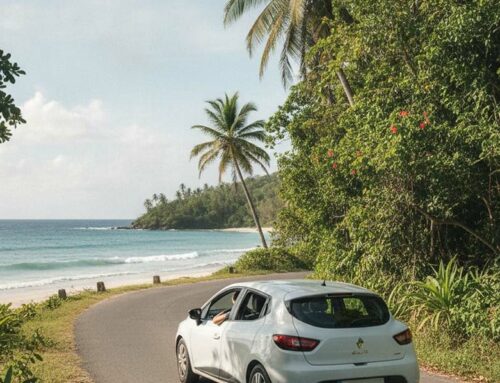 Louer une voiture en Guadeloupe : le guide complet pour explorer l&rsquo;île en toute liberté