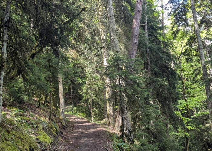 randonnee-parc-borjomi-kharagaul