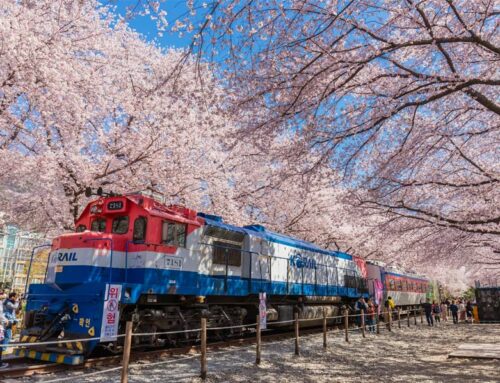 L’Asie moderne vue des rails : découvrir le Japon et la Corée à travers leurs capitales culturelles