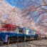 asie-moderne-vue-des-rails-decouvrir-japon-et-coree