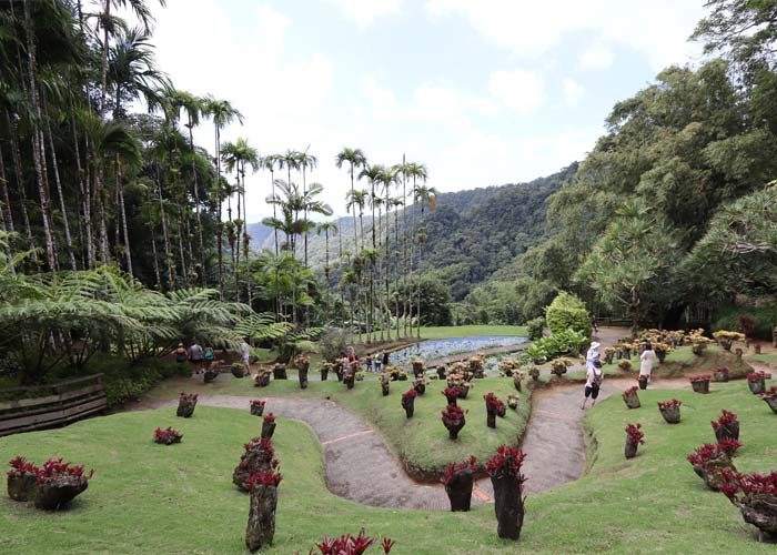 jardin-balata-martinique