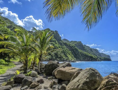 Martinique : les incontournables de l’île aux fleurs
